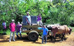 Aumentara Cuba fabricacion de paneles solares